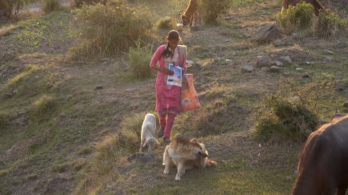 有关动物, 图书, 女人的免费素材视频