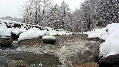 有关下雪的, 冬季, 冬季景观的免费素材视频