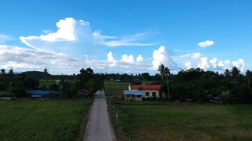 有关motercycle, 下田, 乡村小路的免费素材视频