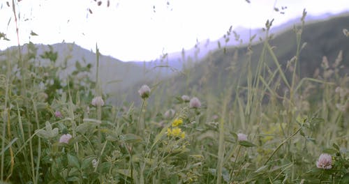 有关味道, 天性, 女人的免费素材视频