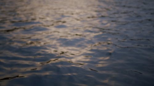 有关光, 反射, 户外的免费素材视频