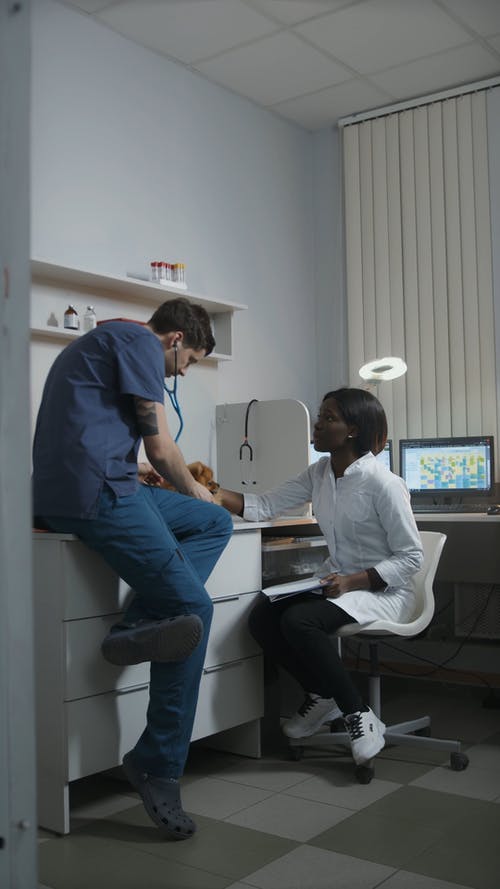 有关一起, 人, 制服的免费素材视频