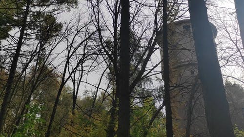 有关中世纪, 从下面, 塔的免费素材视频