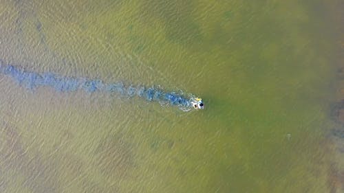 有关增长, 天性, 岛的免费素材视频