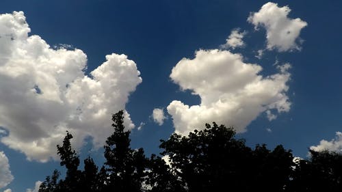 有关夏天, 天性, 天空的免费素材视频