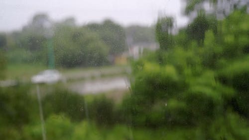 有关下雨, 天性, 天气的免费素材视频
