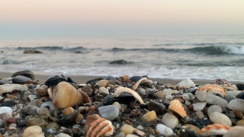 有关卵石, 天性, 岸边的免费素材视频