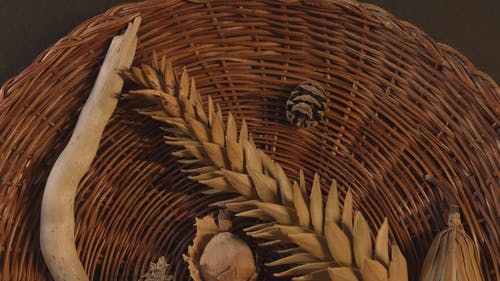 有关分公司, 工厂, 木的免费素材视频