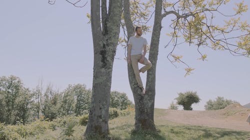 有关一对, 一起, 人的免费素材视频