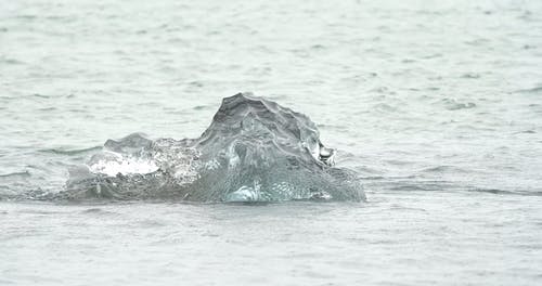 有关冰, 天性, 户外的免费素材视频