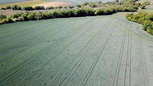 有关天性, 户外, 无人机视频的免费素材视频