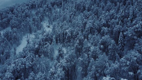 有关下雪的天气, 冬季, 冷的免费素材视频