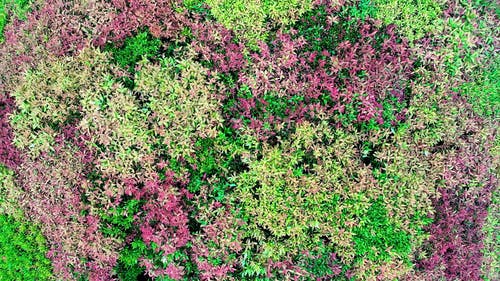 有关交通, 作文, 城市的免费素材视频