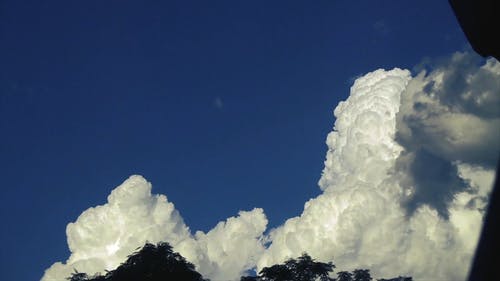 有关@户外, 从下面, 低角度拍摄的免费素材视频