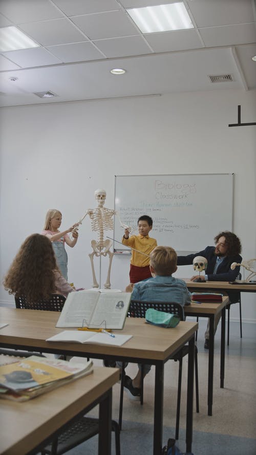 有关人体骨骼, 回到学校, 坐的免费素材视频