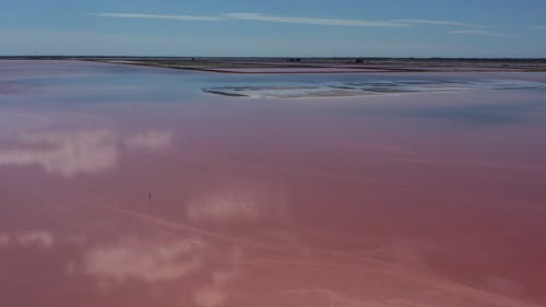 有关冷静, 反射, 天性的免费素材视频