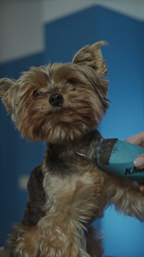 有关享受, 人, 侧面图的免费素材视频