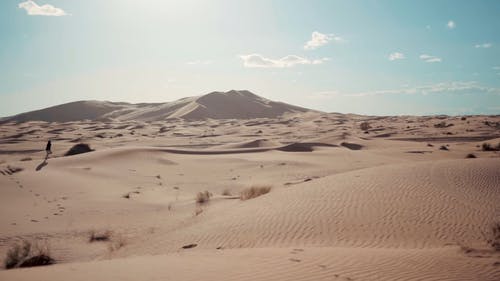 有关女人, 探险家, 摩洛哥的免费素材视频