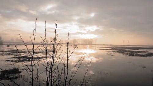 有关dwingelderveld, 健康, 冷静的免费素材视频