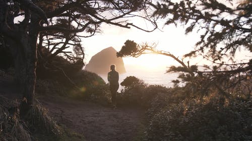 有关天性, 年轻女子, 户外的免费素材视频