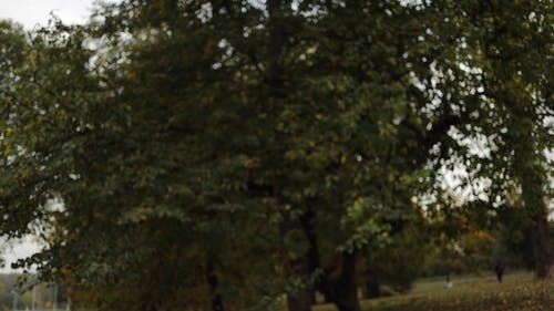 有关@户外, 保护, 家伙的免费素材视频