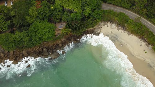 有关天性, 平移拍摄, 户外的免费素材视频