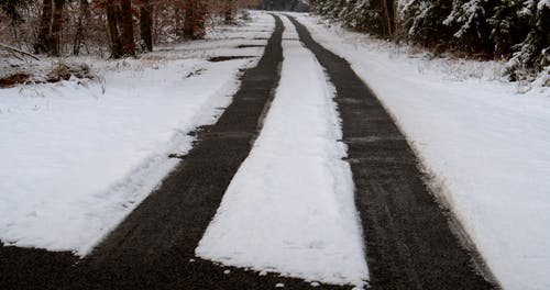 有关冬季, 天性, 户外的免费素材视频