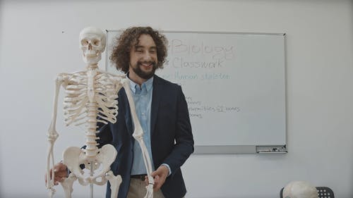 有关人体骨骼, 回到学校, 学校的免费素材视频