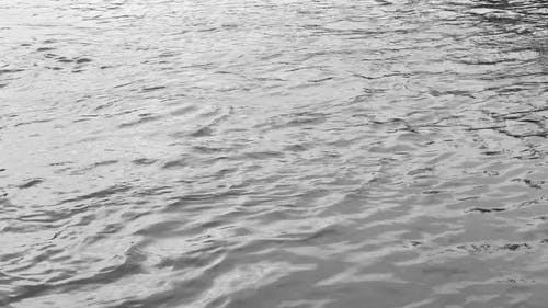 有关单色, 後勤, 德国的免费素材视频