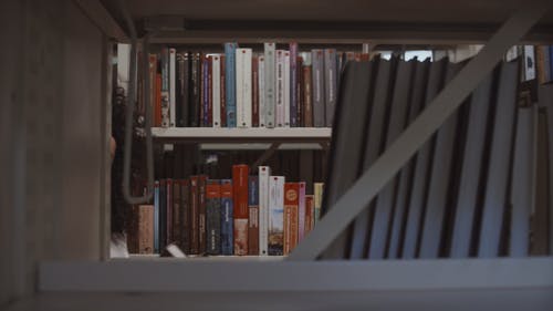 有关书架, 图书, 图书馆的免费素材视频