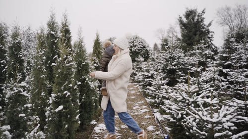 有关下雪的, 享受, 儿子的免费素材视频