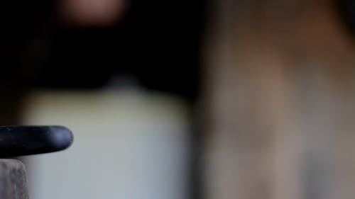 有关新鲜, 景深, 有养分的的免费素材视频