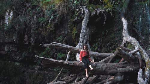 有关冒险, 天性, 女人的免费素材视频