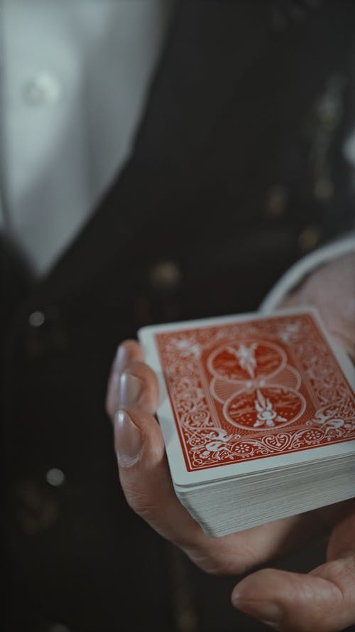 有关个性, 个性, 优雅的免费素材视频