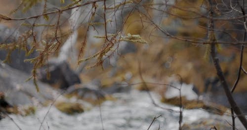有关天性, 专注, 岩石的免费素材视频