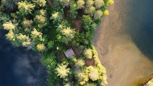 有关树木, 水域, 空中镜头的免费素材视频