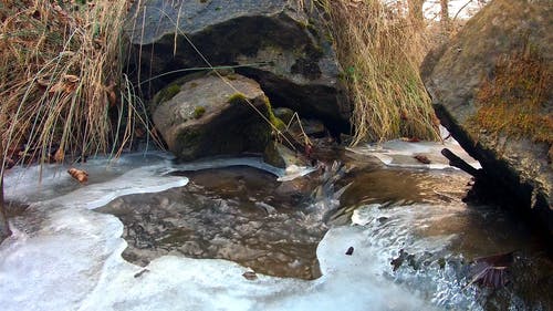 有关冬季, 冰, 冻结的的免费素材视频