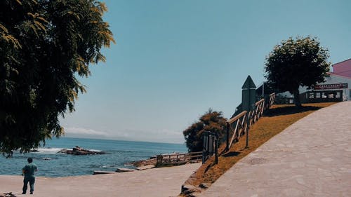 有关卡萨切乔, 平移拍摄, 店面的免费素材视频