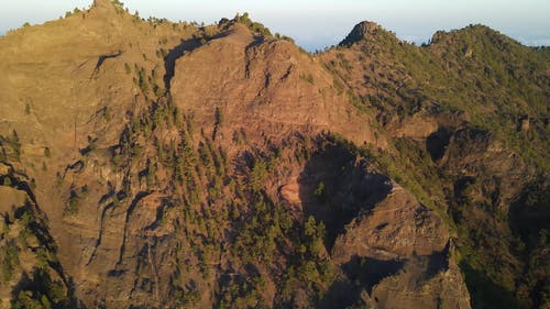 有关@户外, 和平的, 天性的免费素材视频