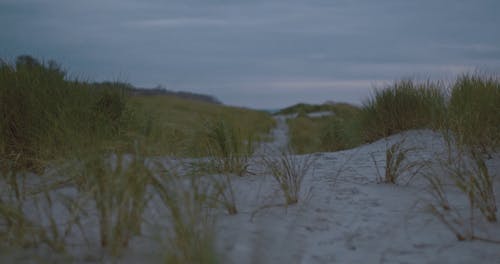 有关低角度视图, 天性, 天空的免费素材视频