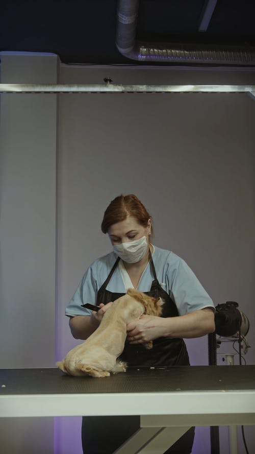 有关人, 可爱, 可爱的的免费素材视频