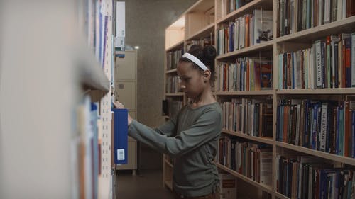 有关一摞书, 公共图书馆, 图书的免费素材视频