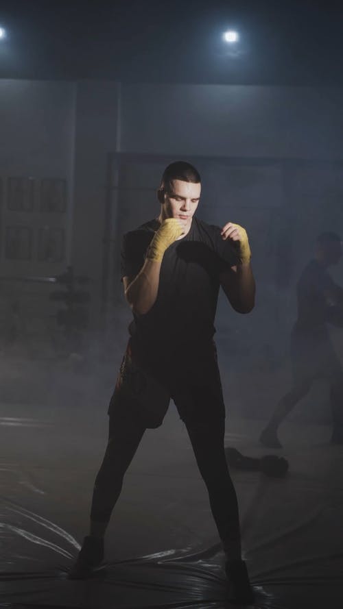 有关人, 垂直视频, 太极拳的免费素材视频