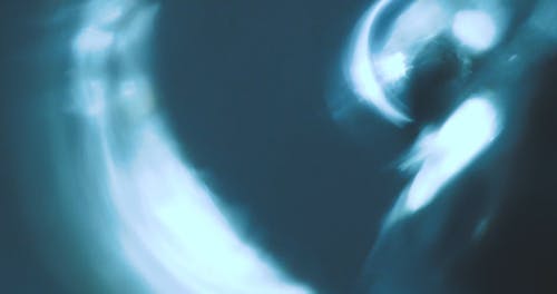 有关倾注, 微距拍摄, 水的免费素材视频