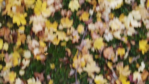 有关fpv, 下落, 俄国的免费素材视频