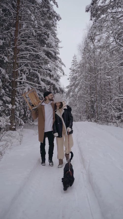 有关一对, 一起, 人的免费素材视频