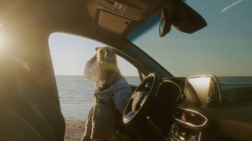 有关倚, 后视镜, 地平线的免费素材视频