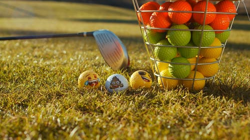 有关户外, 景观, 草的免费素材视频