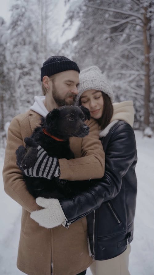 有关一对, 下雪, 人的免费素材视频