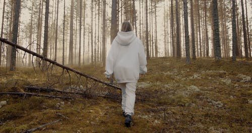 有关不露面, 光, 原本的免费素材视频